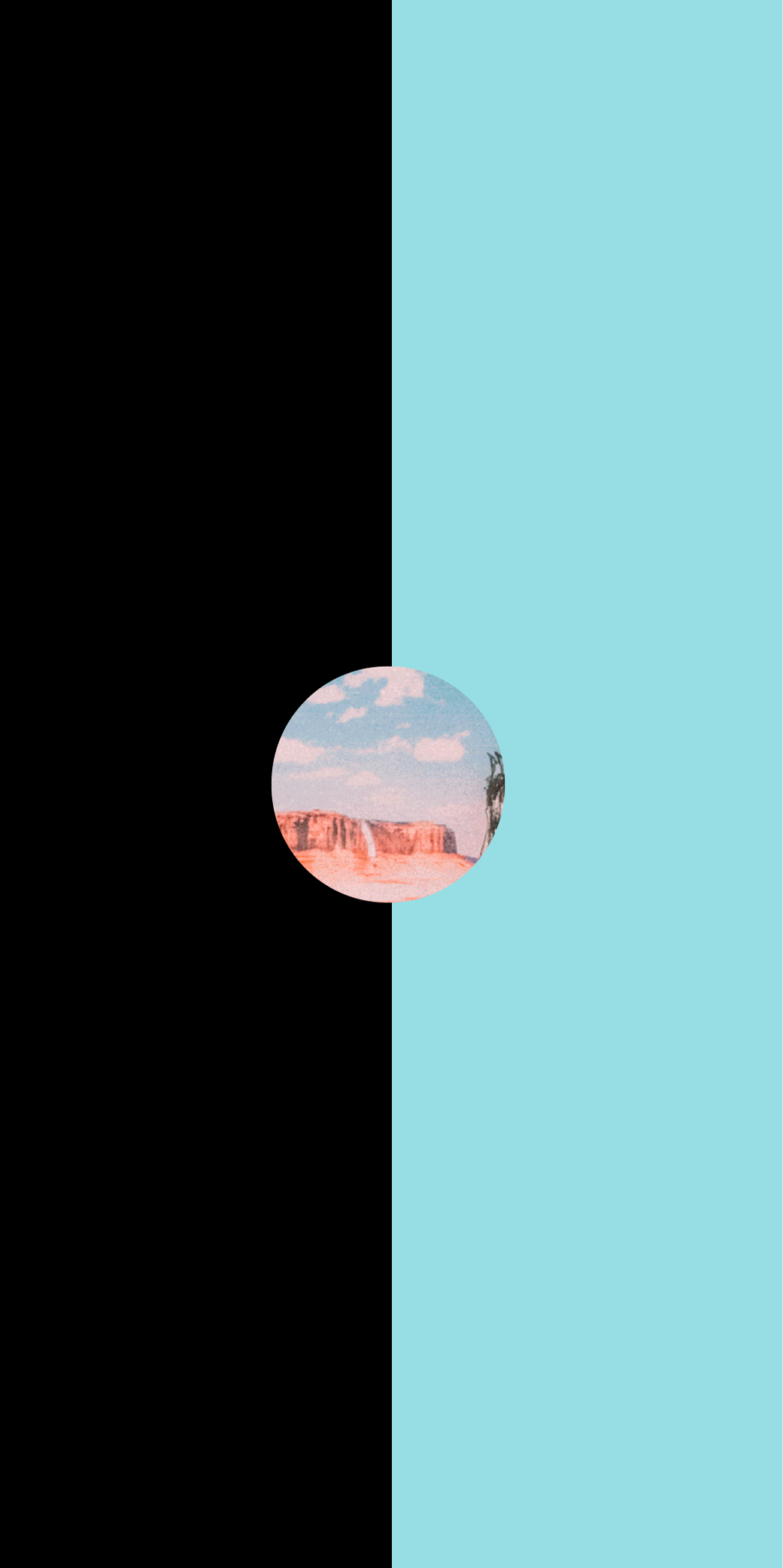 OMNI scar Vi as OMNI scar Vi as